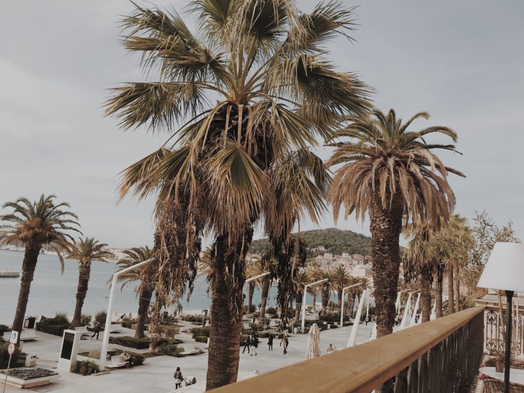 Sea view from terrace on palms