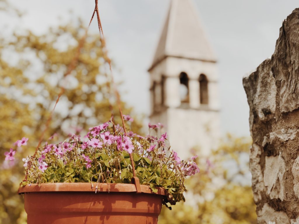 Old Flower Vase Ideas Awesome Hanging Flower Vase Using Old Bucket