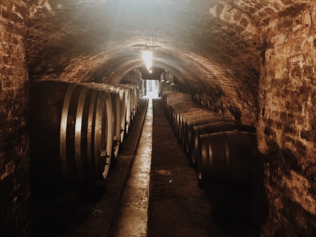 Ilok wine cellars