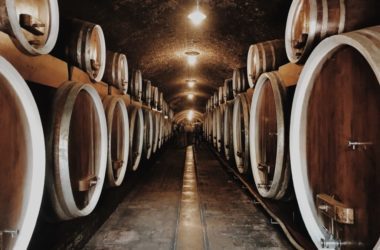 Ilok wine cellars