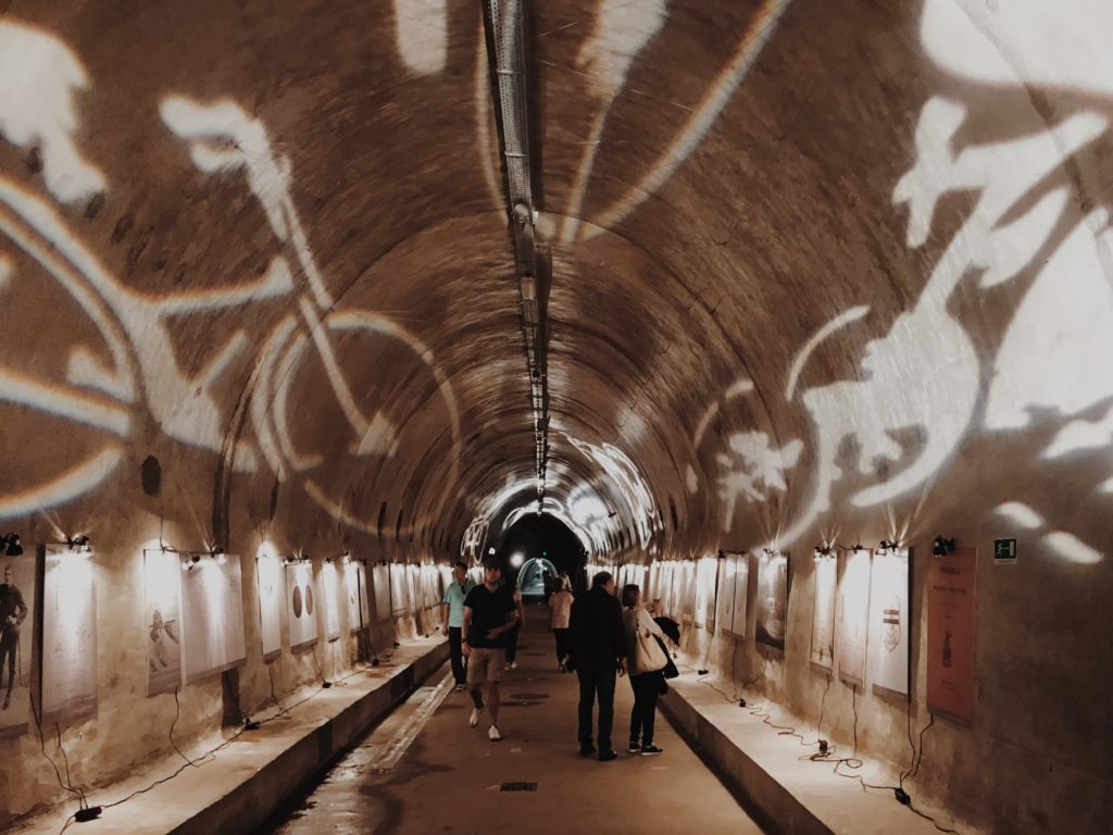 Tunnel Grič bicycle exhibition