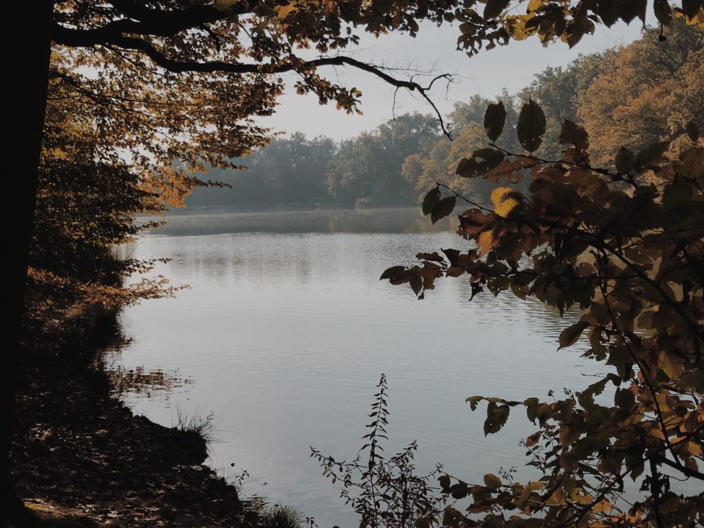 Autumn Lake View - Zagreb, Croatia