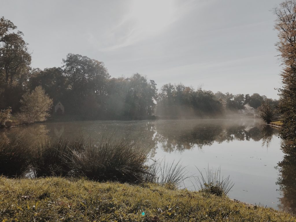 Fog moving slowly at a calm lake in early morning