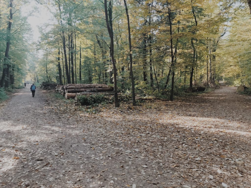 Park Maksimir Zagreb