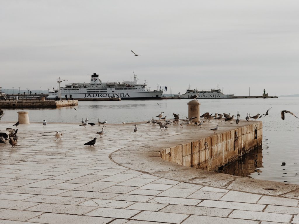 A seagull on the quay of the port