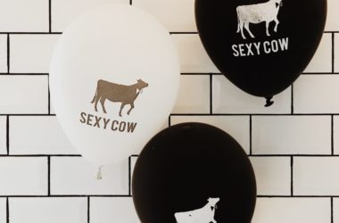 Sexy Cow Split