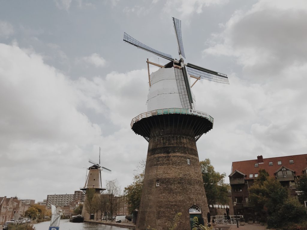 Rotterdam on bike Schiedam