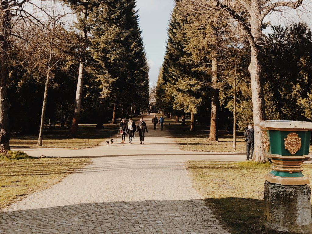 Family walk in park on sunday morning