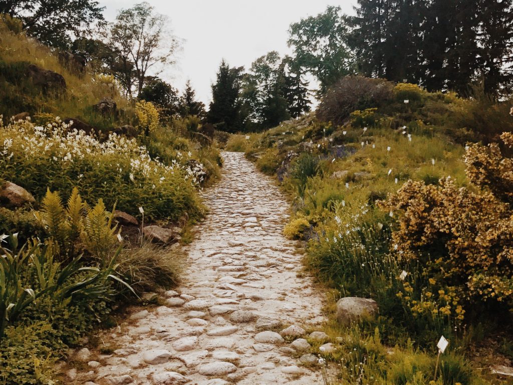 Botanical Garden Berlin