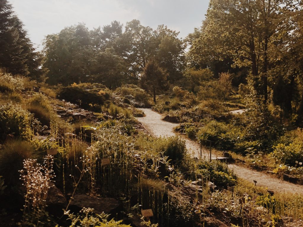 Botanical Garden Berlin