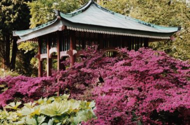 Botanical Garden Berlin Japan pavilion