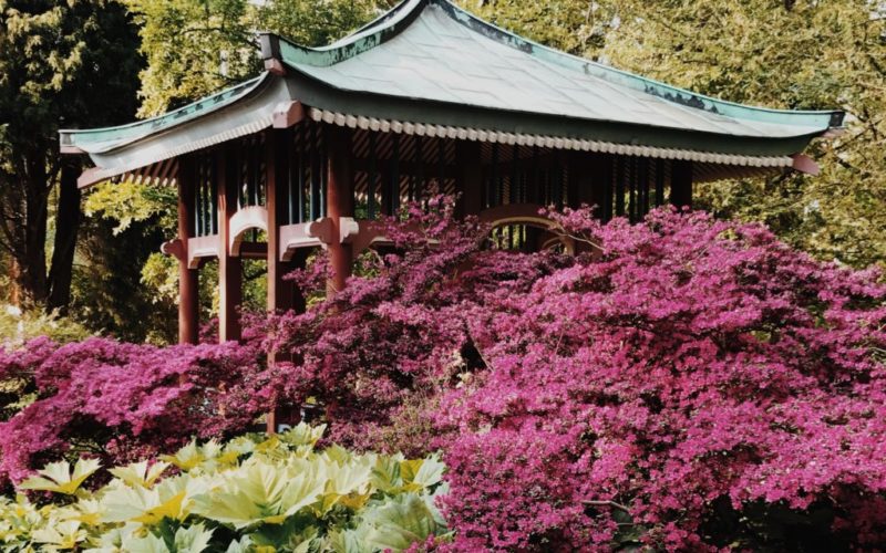 Botanical Garden Berlin Japan pavilion