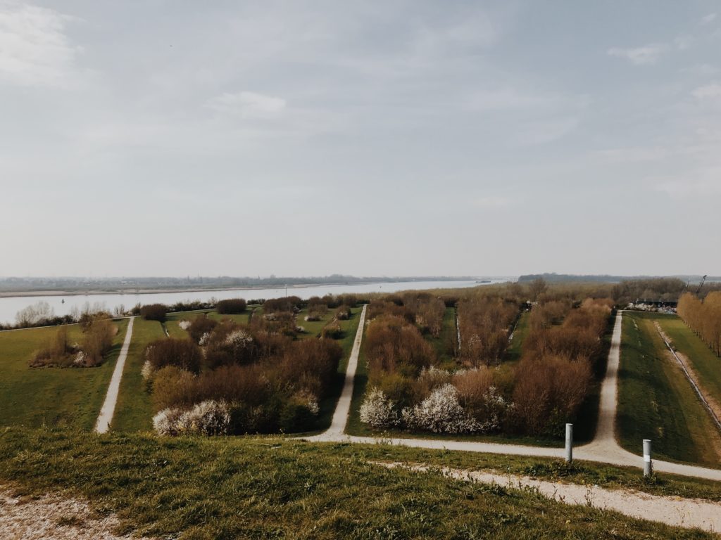 View of the river Maas from Barendrecht