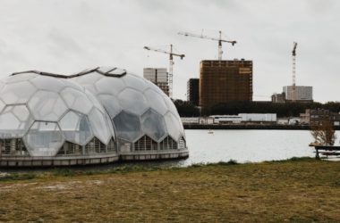 The floating pavilion in the Rijnhaven in Rotterdam, Nederlands