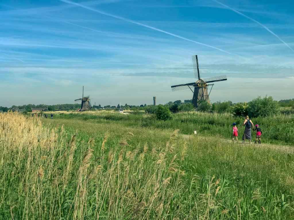 A Day Trip Into The Dutch Heritage To Visit Kinderdijk, Rotterdam, Netherlands