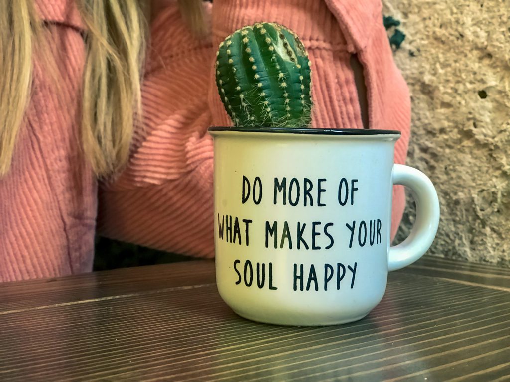 Do more of what makes your soul happy Mug