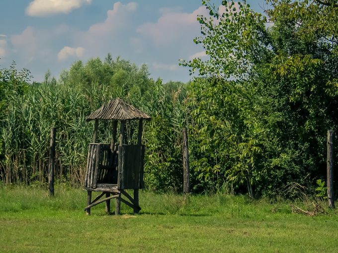 Kopački rit nature park, one of the largest wetlands in Europe