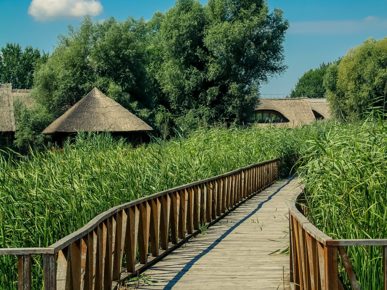 Kopački rit nature park, one of the largest wetlands in Europe