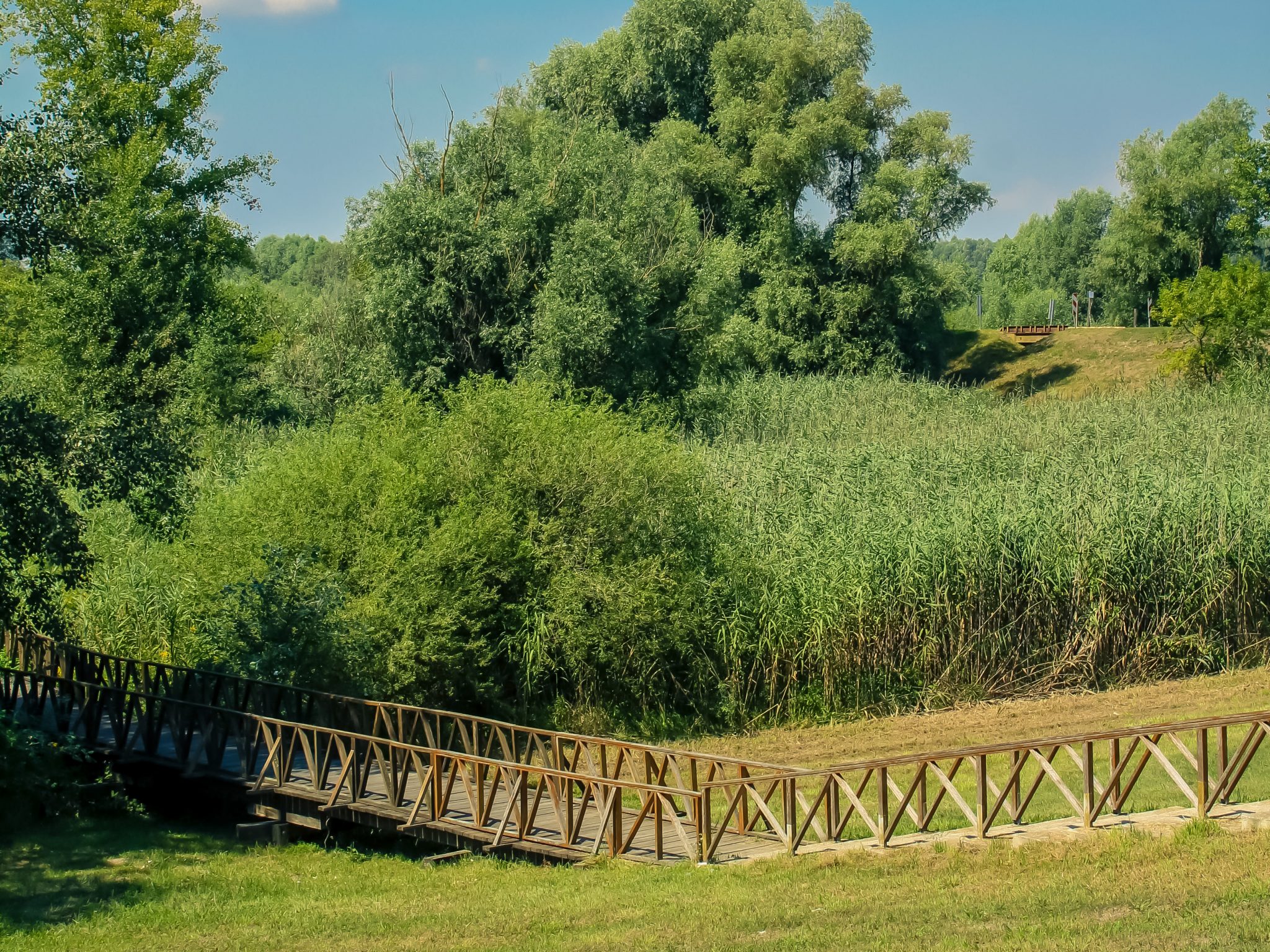 Kopački rit nature park, one of the largest wetlands in Europe