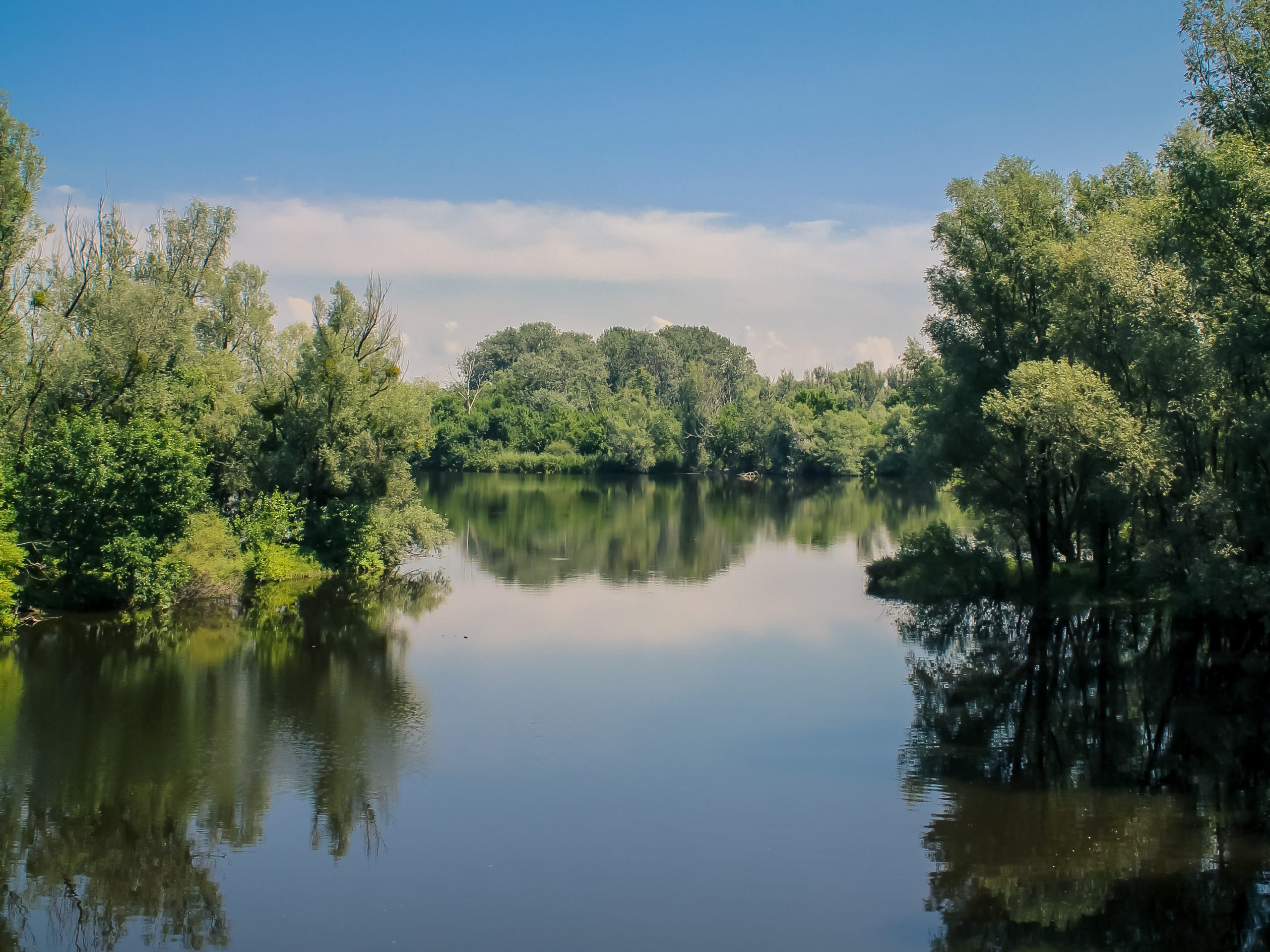 Kopački rit nature park, one of the largest wetlands in Europe