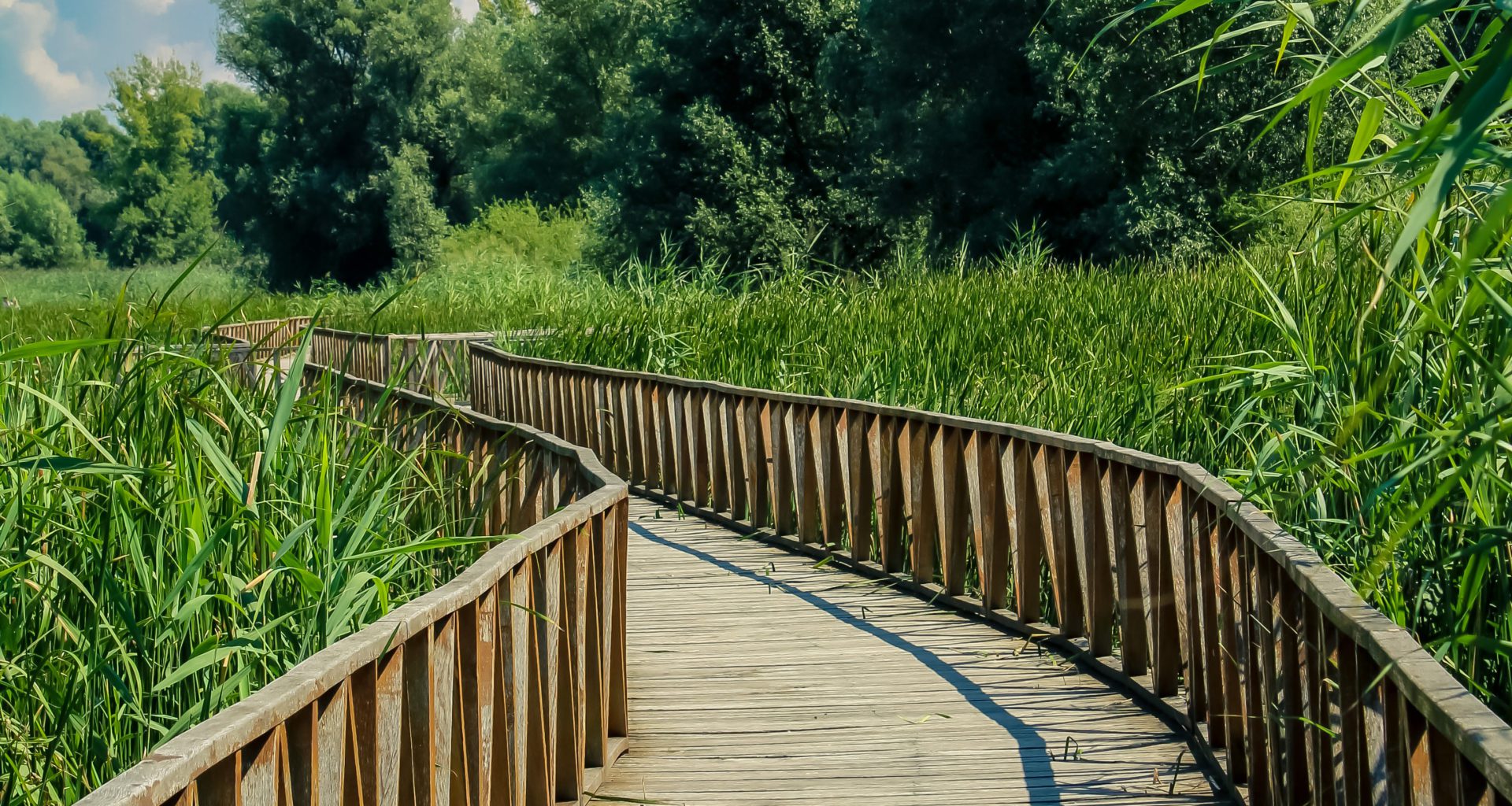 Kopački rit nature park, one of the largest wetlands in Europe