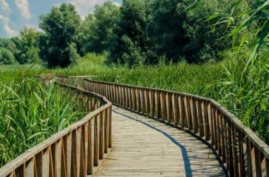 Kopački rit nature park, one of the largest wetlands in Europe