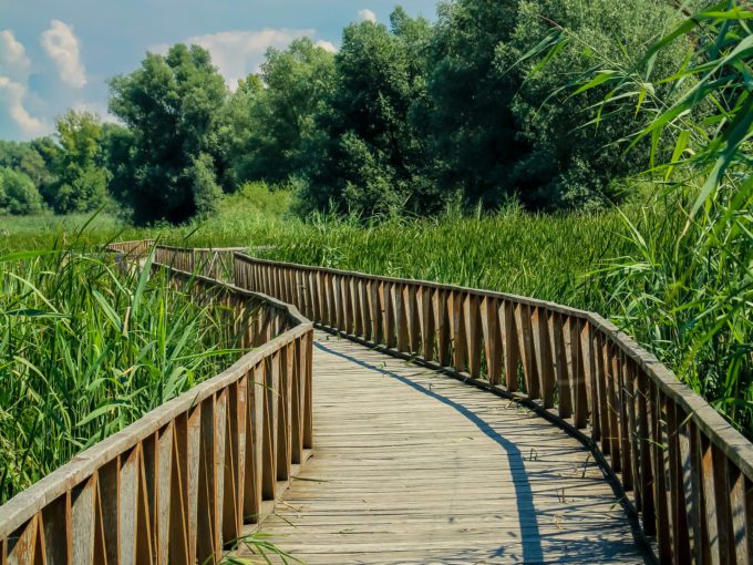 Kopački rit nature park, one of the largest wetlands in Europe