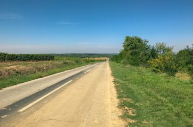 The best festivals and top events in Syrmia (Srijem)