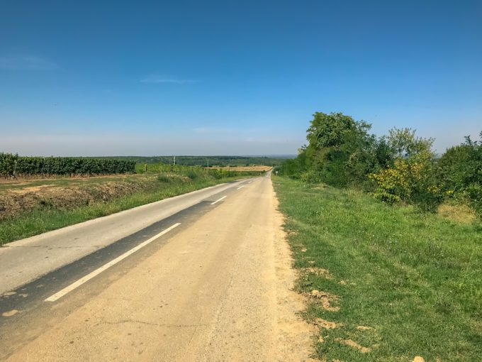 The best festivals and top events in Syrmia (Srijem)