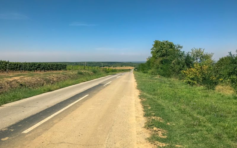 The best festivals and top events in Syrmia (Srijem)