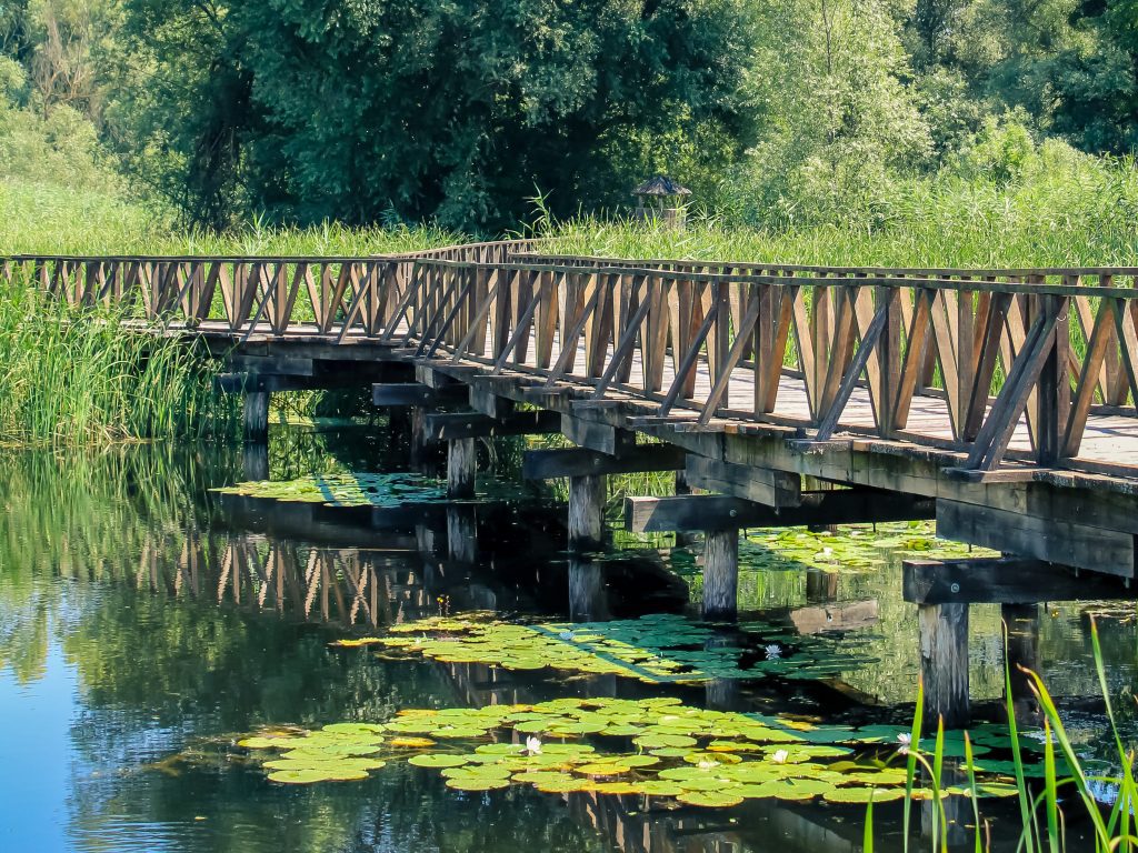 Kopački rit nature park, one of the largest wetlands in Europe