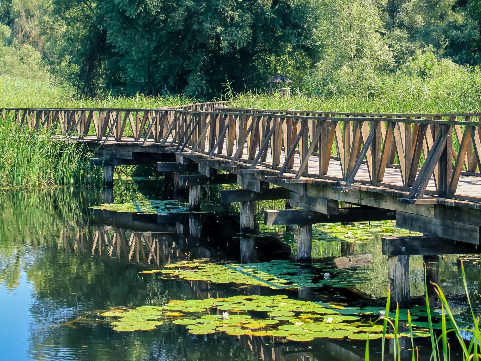 Kopački rit nature park, one of the largest wetlands in Europe