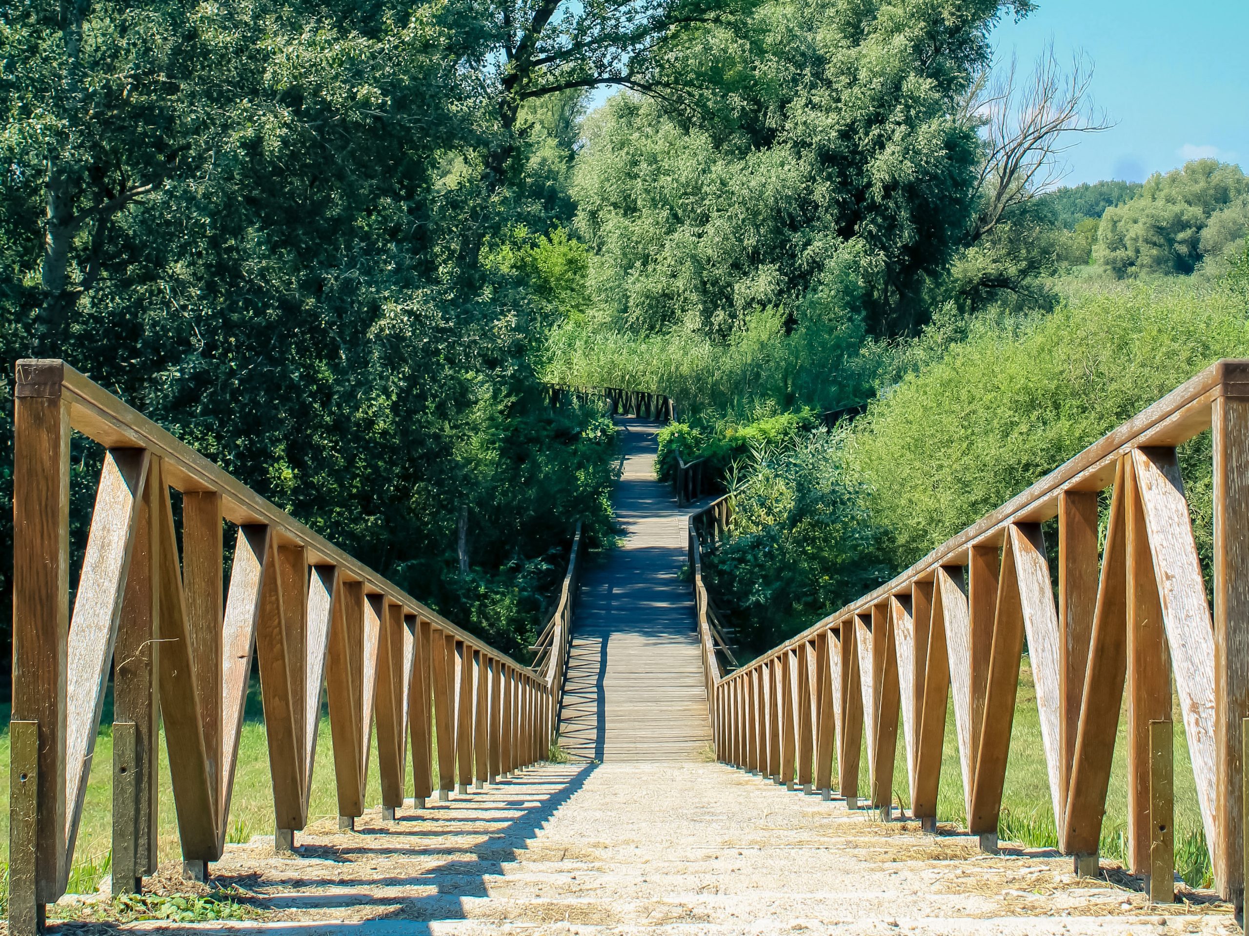 Kopački rit nature park, one of the largest wetlands in Europe
